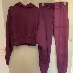 Aritzia BlackBerry Fleece Sweatset